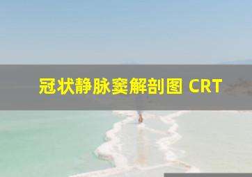 冠状静脉窦解剖图 CRT